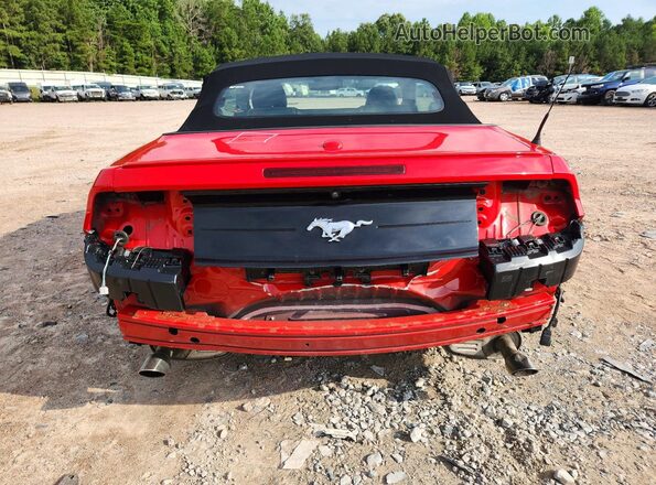 1FATP8UH4M5111124 2021 FORD MUSTANG Red Widok z tyłu