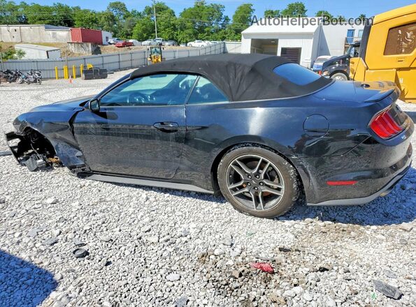 1FATP8UH4P5103173 2023 FORD MUSTANG Black Rear left