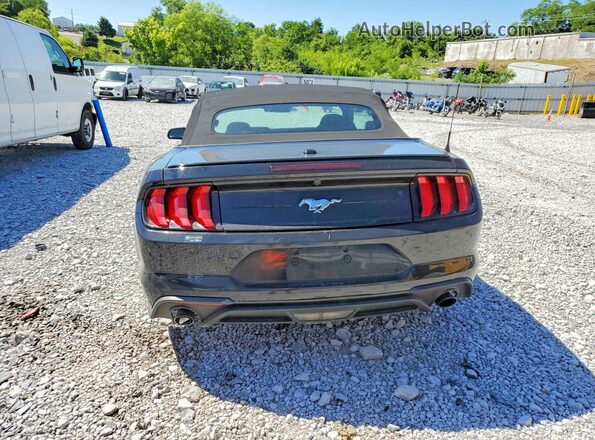 1FATP8UH4P5103173 2023 FORD MUSTANG Black Rear view