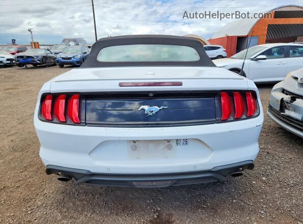 1FATP8UH4P5111628 2023 FORD MUSTANG White უკანა ხედი
