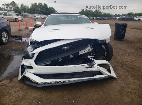 1FATP8UH5K5149149 2019 FORD MUSTANG White წინა ხედი