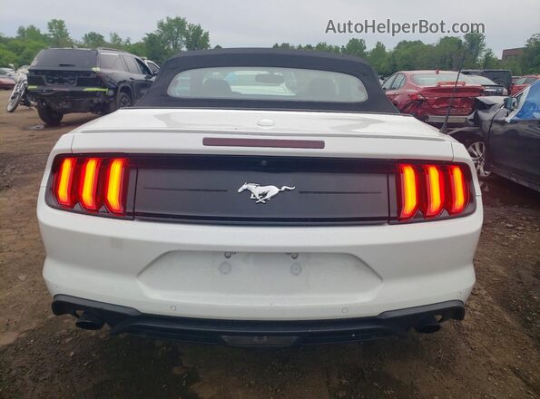 1FATP8UH5K5149149 2019 FORD MUSTANG White უკანა ხედი