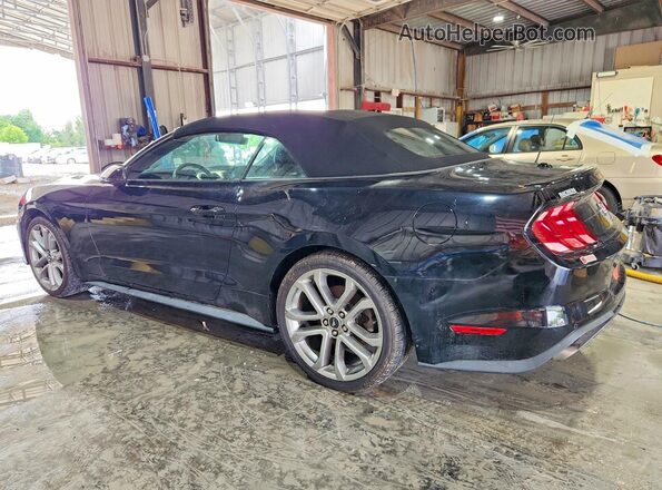 1FATP8UH5K5204537 2019 FORD MUSTANG Black Հետևի ձախ