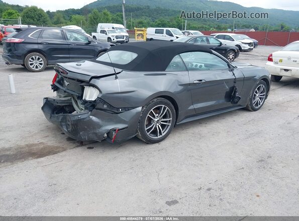 1FATP8UH6G5296426 2016 FORD MUSTANG Gray Tył prawy