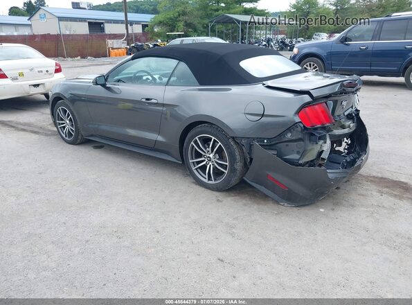 1FATP8UH6G5296426 2016 FORD MUSTANG Gray Tył lewy