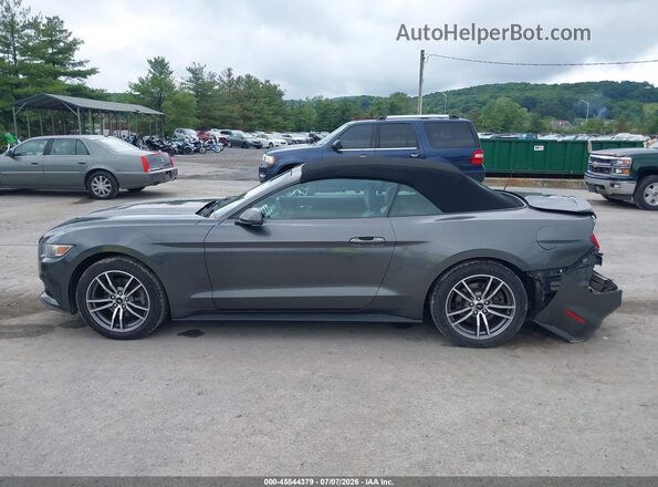 1FATP8UH6G5296426 2016 FORD MUSTANG Gray Widok wnętrza 360 stopni