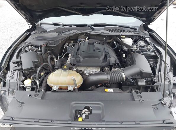 1FATP8UH6H5307538 2017 FORD MUSTANG Black Widok z tyłu