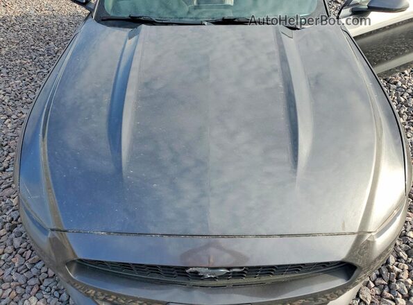 1FATP8UH7H5204256 2017 FORD MUSTANG Серый Вид задней части салона