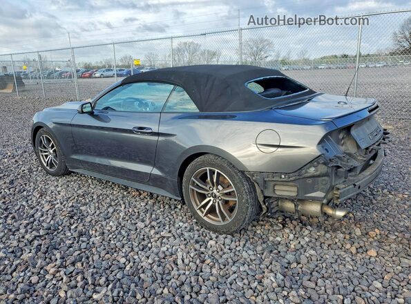 1FATP8UH7H5204256 2017 FORD MUSTANG Серый Задняя левая четверть