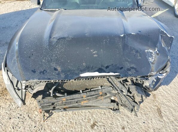 1FATP8UH7H5310870 2017 FORD MUSTANG Черный Вид задней части салона