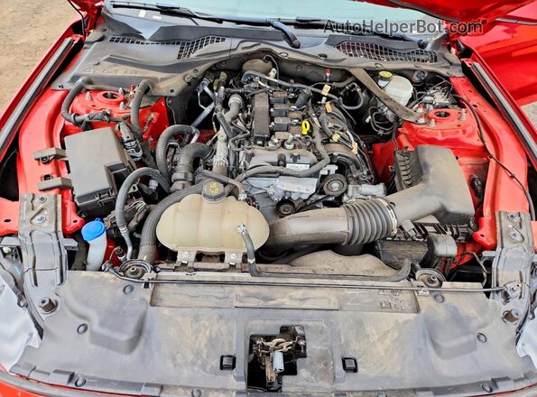 1FATP8UH7P5102440 2023 FORD MUSTANG Red Սալոնի հետևի տեսք