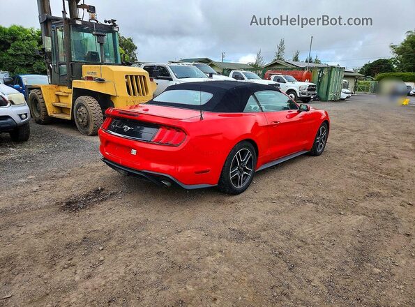 1FATP8UH7P5102440 2023 FORD MUSTANG Red Հետևի աջ