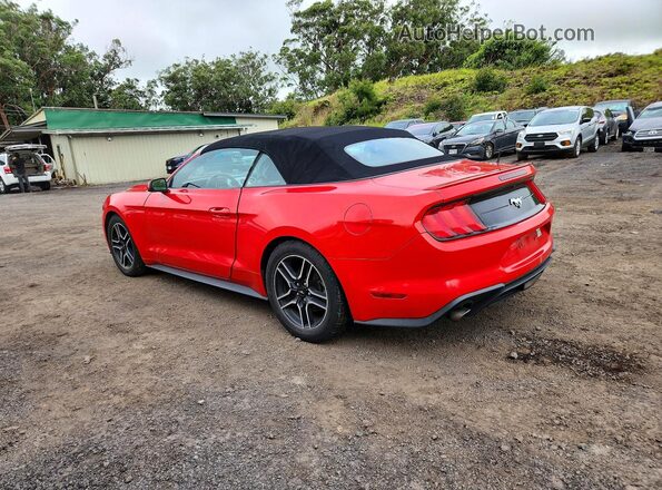 1FATP8UH7P5102440 2023 FORD MUSTANG Red Հետևի ձախ
