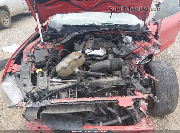 1FATP8UH8K5109843 2019 FORD MUSTANG Red უკანა ხედი