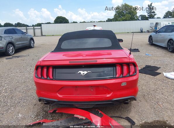 1FATP8UH8K5109843 2019 FORD MUSTANG Red 