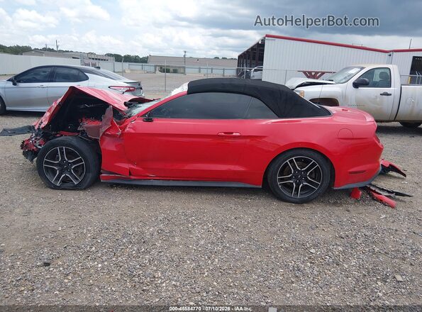 1FATP8UH8K5109843 2019 FORD MUSTANG Red 