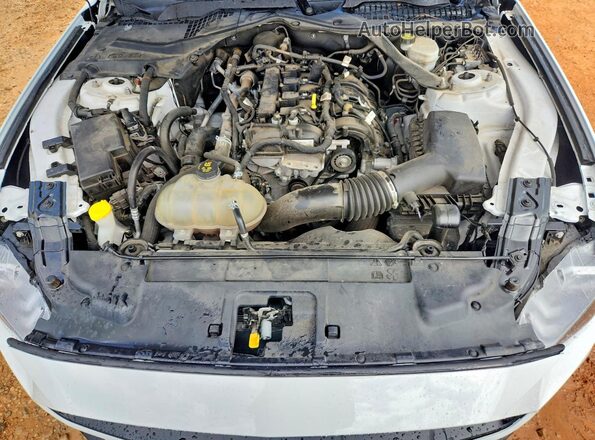 1FATP8UH8M5100868 2021 FORD MUSTANG Белый Вид задней части салона