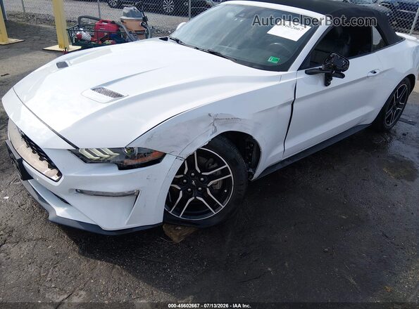 1FATP8UH8N5106025 2022 FORD MUSTANG Белый Вид спереди
