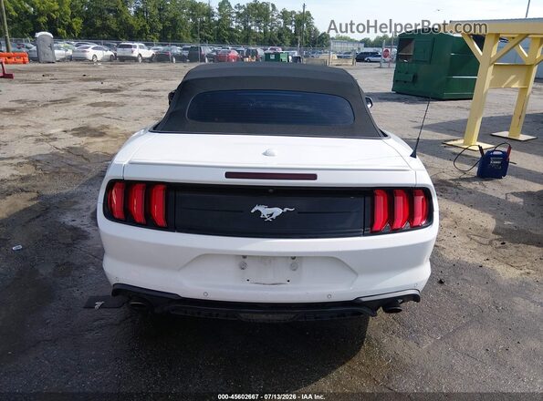1FATP8UH8N5106025 2022 FORD MUSTANG Белый 
