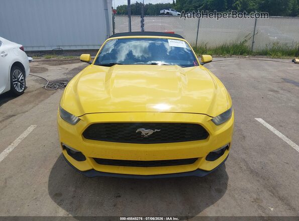 1FATP8UH9G5284819 2016 FORD MUSTANG Yellow Вид задньої частини салону