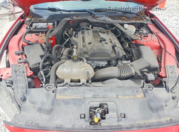 1FATP8UH9L5131660 2020 FORD MUSTANG Red Սալոնի հետևի տեսք