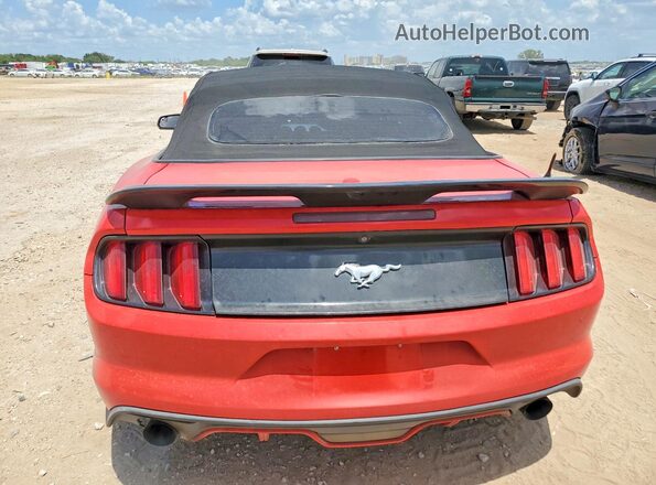 1FATP8UHXG5247407 2016 FORD MUSTANG Red Widok z tyłu