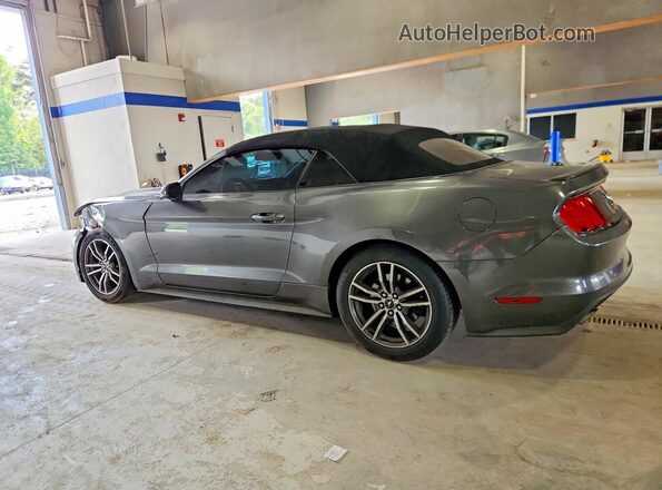 1FATP8UHXH5313293 2017 FORD MUSTANG Gray Задня ліва чверть