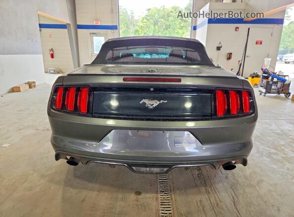 1FATP8UHXH5313293 2017 FORD MUSTANG Gray Вид ззаду