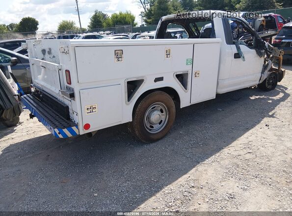 1FDBF2A61HEE26795 2017 FORD F-250 White Tył prawy
