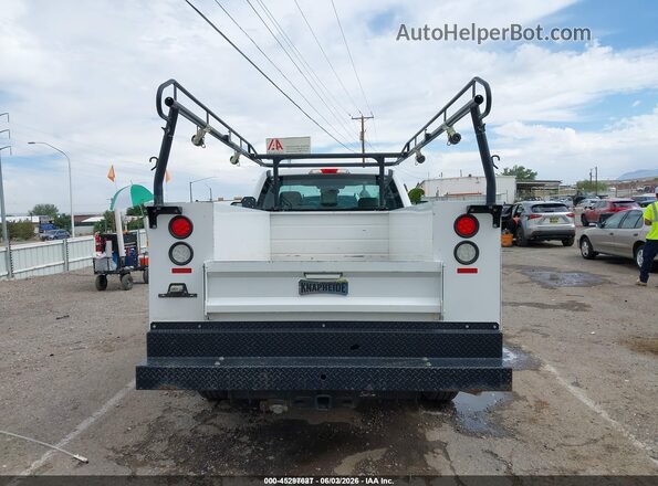 1FDBF2A65HEE07201 2017 FORD F-250 Белый 