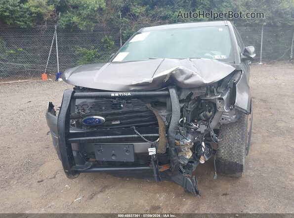 1FM5K8AR1HGD25279 2017 FORD UTILITY POLICE INTERCEPTOR Gray Դիմացի տեսք