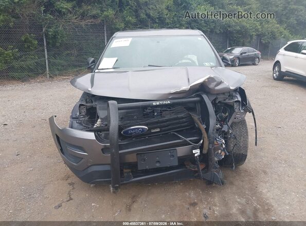 1FM5K8AR1HGD25279 2017 FORD UTILITY POLICE INTERCEPTOR Gray Սալոնի հետևի տեսք