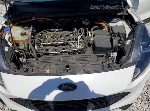 1FMCU0BZ2LUC56002 2020 FORD ESCAPE White Սալոնի հետևի տեսք