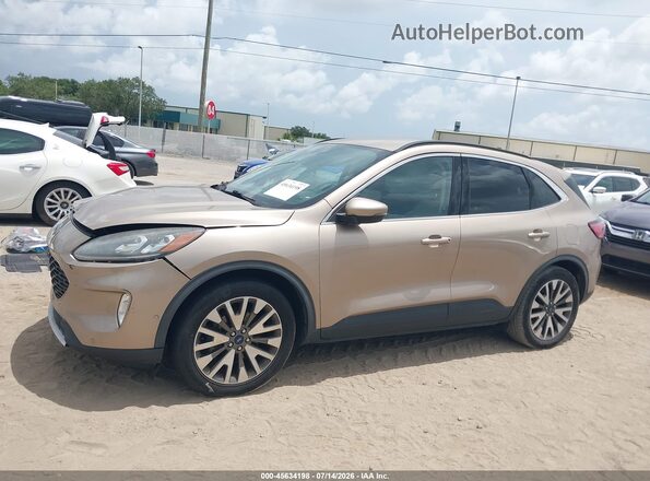 1FMCU0DZ1LUA39554 2020 FORD ESCAPE Brown Rear interior view
