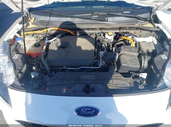 1FMCU0DZ3LUB05649 2020 FORD ESCAPE White Rear view