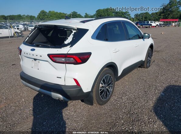 1FMCU0E12PUA75929 2023 FORD ESCAPE White უკანა მარჯვენა