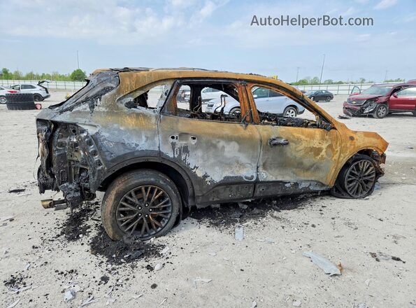 1FMCU0E12SUB28444 2025 FORD ESCAPE Burn უკანა მარჯვენა