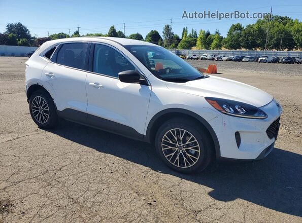 1FMCU0EZ3NUA18982 2022 FORD ESCAPE White წინა მარჯვენა