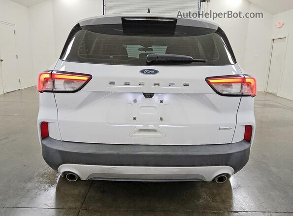 1FMCU0F60LUC25833 2020 FORD ESCAPE White Вид ззаду