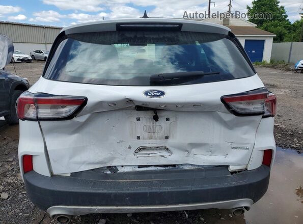 1FMCU0F62LUC31326 2020 FORD ESCAPE White Rear view