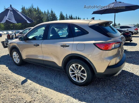 1FMCU0F63LUB57091 2020 FORD ESCAPE Gold Задня ліва чверть