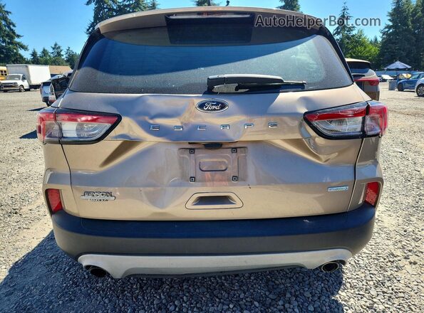 1FMCU0F63LUB57091 2020 FORD ESCAPE Gold Вид ззаду