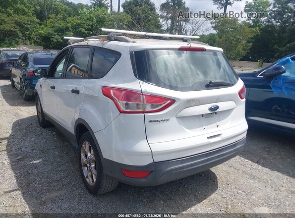 1FMCU0F72GUA25843 2016 FORD ESCAPE White Tył lewy