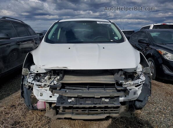 1FMCU0F74GUB16516 2016 FORD ESCAPE White Դիմացի տեսք