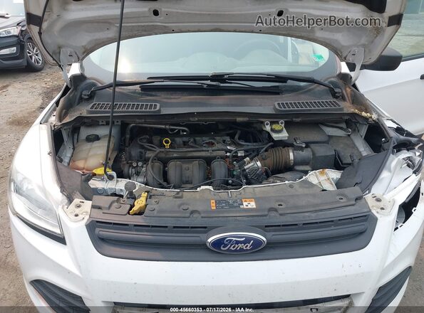 1FMCU0F77GUB80078 2016 FORD ESCAPE Белый Вид сзади