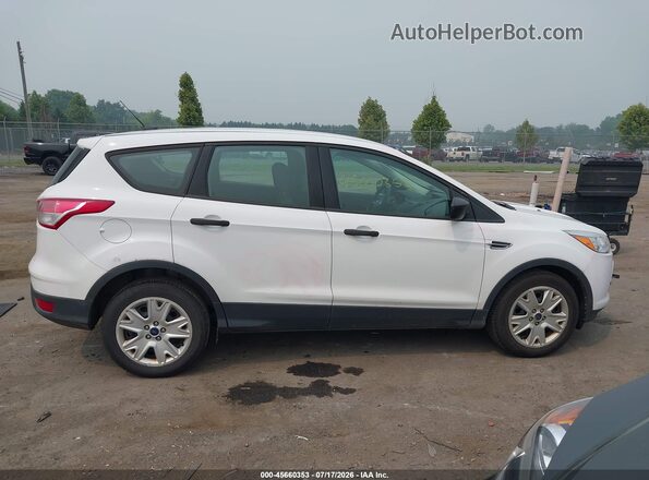 1FMCU0F77GUB80078 2016 FORD ESCAPE Белый Вид задней части салона