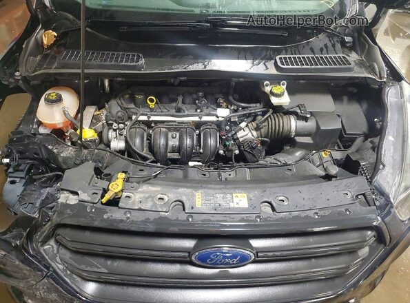 1FMCU0F7XKUB50937 2019 FORD ESCAPE Black Սալոնի հետևի տեսք