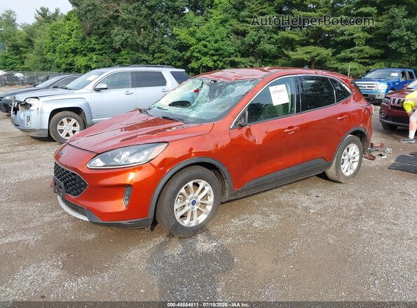 1FMCU0G60LUA27655 2020 FORD ESCAPE Orange წინა მარცხენა ხედი სამი მეოთხედიდან