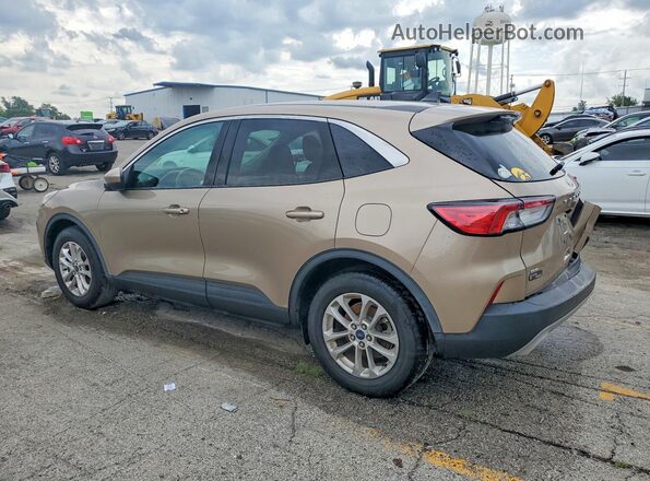 1FMCU0G60LUC04298 2020 FORD ESCAPE Tan უკანა მარცხენა