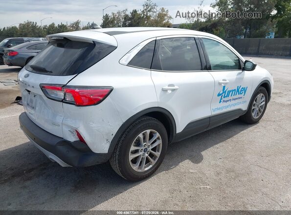 1FMCU0G61LUB13296 2020 FORD ESCAPE White Trasero derecho